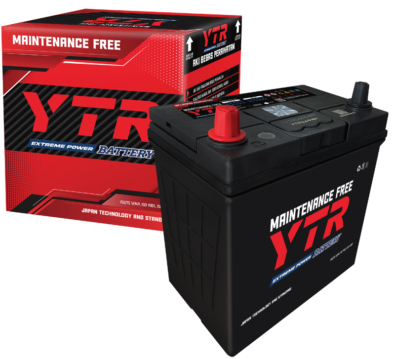 Maintenance Free Battery